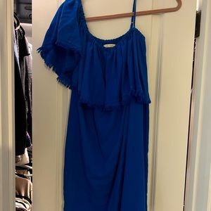 Gorgeous blue Ella moss dress!